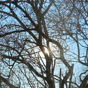 Meet your Posher, Edward